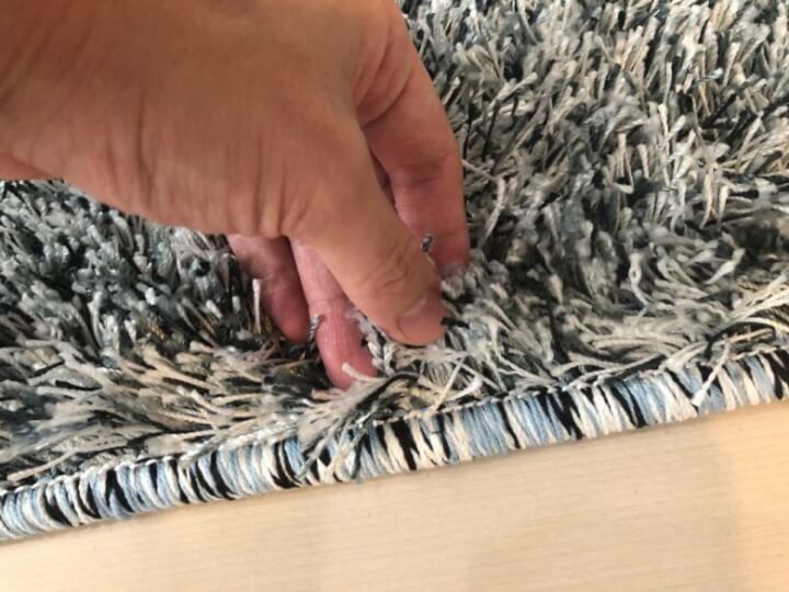 カーペットも、これくらいの毛並みなら平気で上ってきます