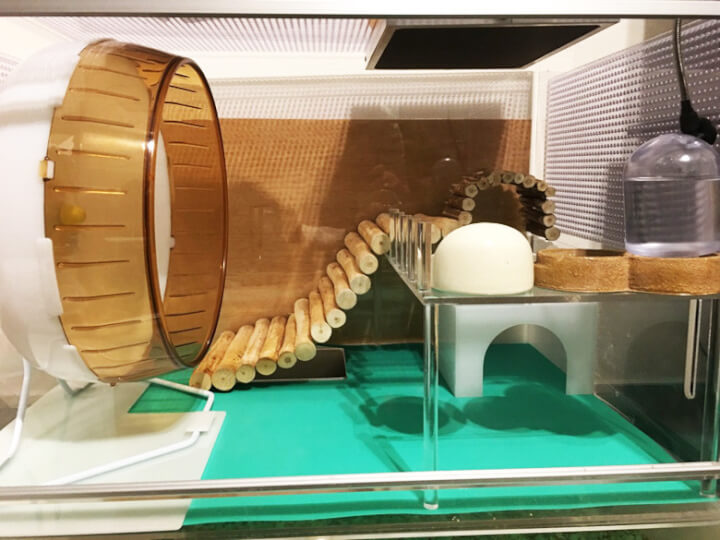 アクリルケージの2階