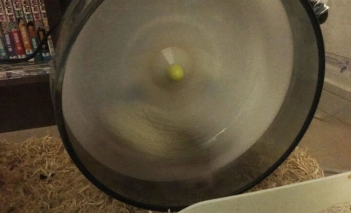 サイレントホイール